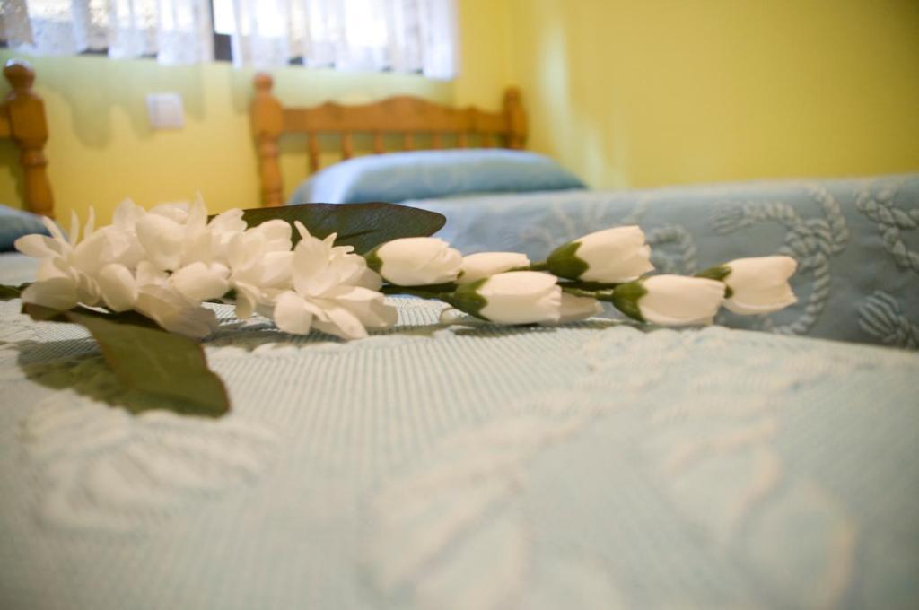 Pension Aries II Cuenca  Pokoj fotografie